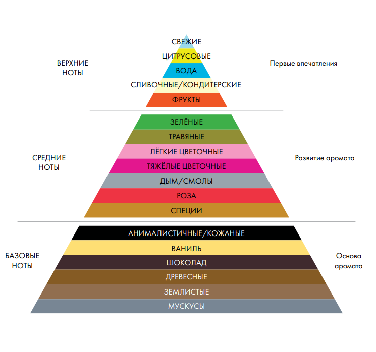 Как выбрать аромат